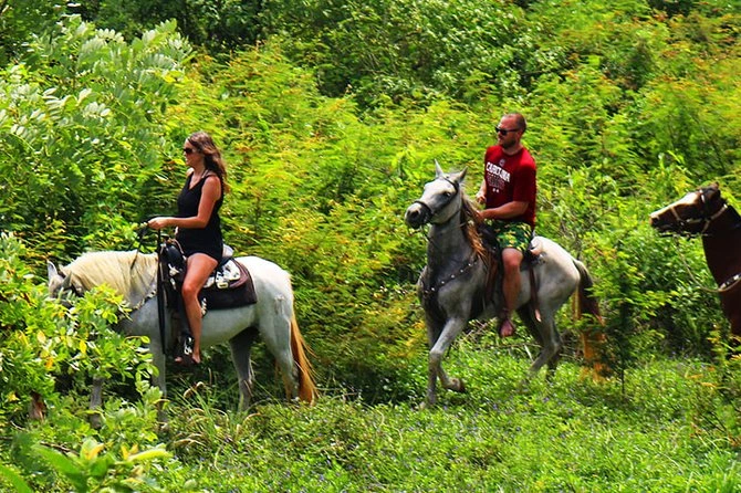 Horseback Riding in Roatán